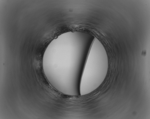 X0000091000515200708021228