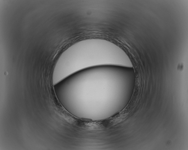 X0000091000516200708021228