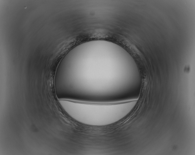 X0000091000517200708021228