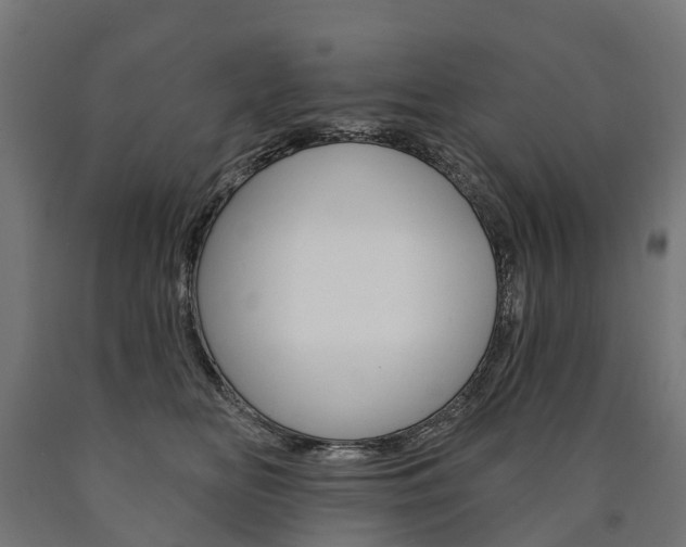 X0000091000518200708021228