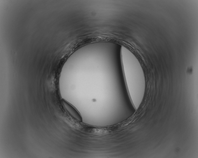 X0000091000520200708021228