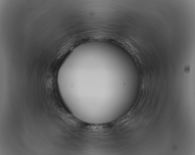 X0000091000524200708021228