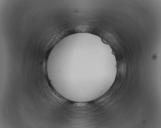 X0000091000526200708021228