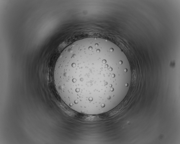 X0000091000527200708021228