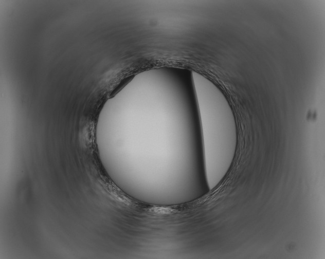 X0000091000528200708021228