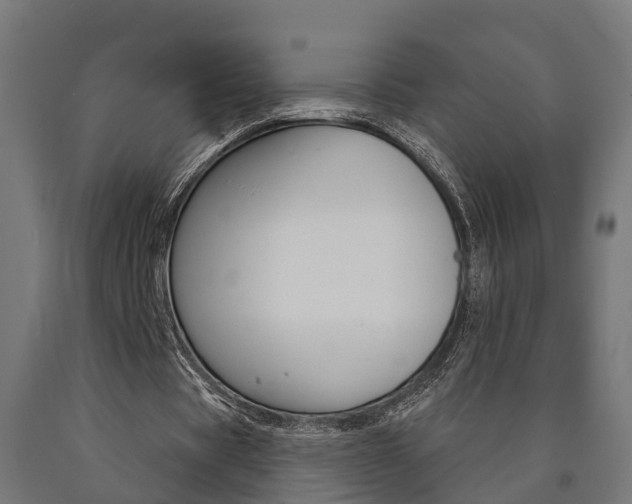 X0000091000529200708021227