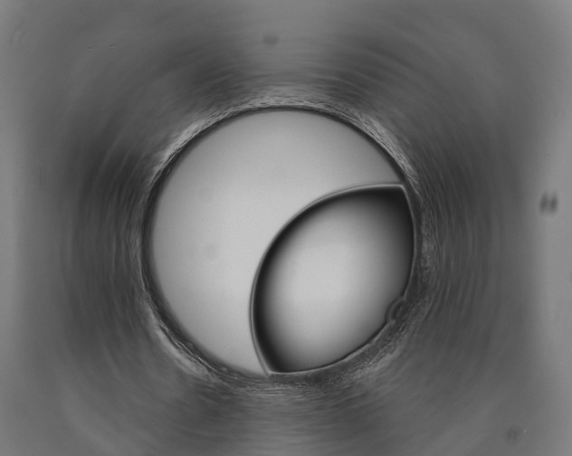 X0000091000530200708021227