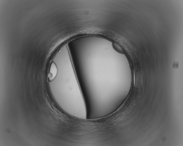 X0000091000531200708021227