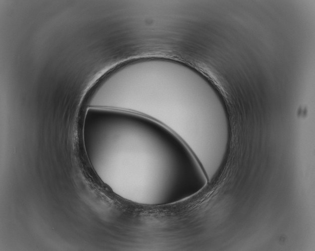 X0000091000532200708021227