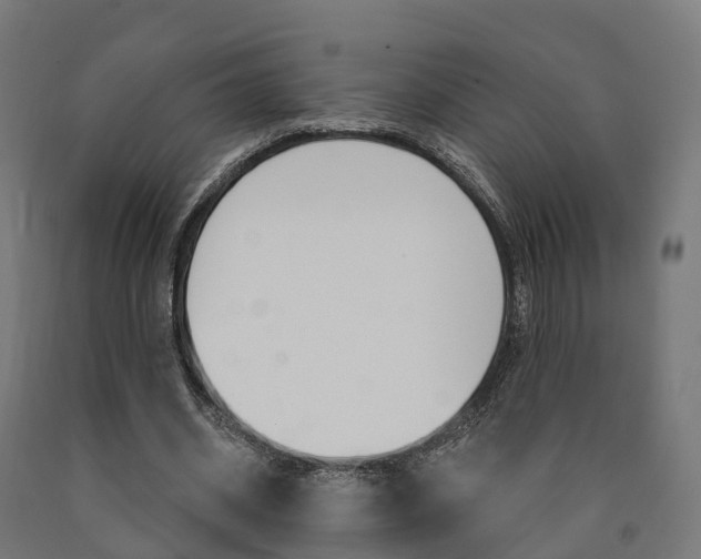 X0000091000534200708021227