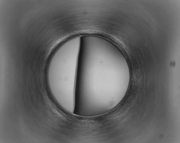 X0000091000535200708021227