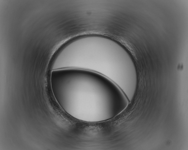 X0000091000536200708021227