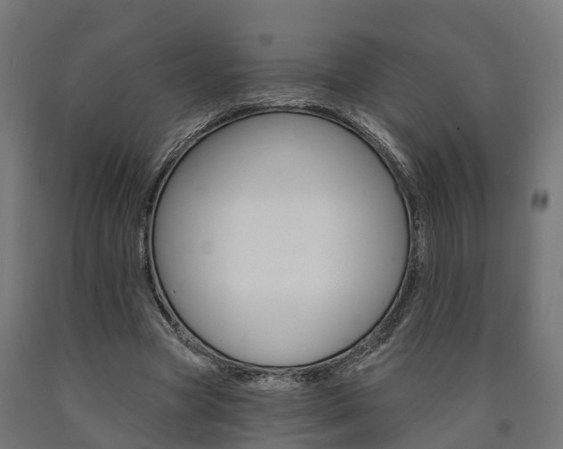 X0000091000537200708021227
