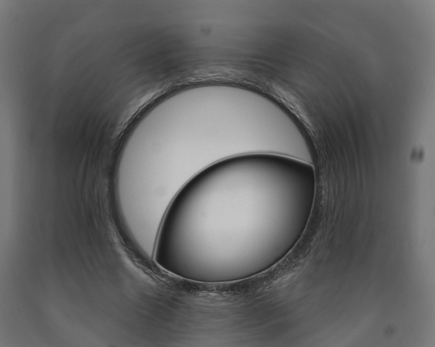 X0000091000538200708021227
