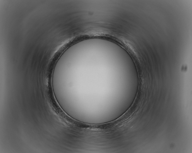 X0000091000539200708021227