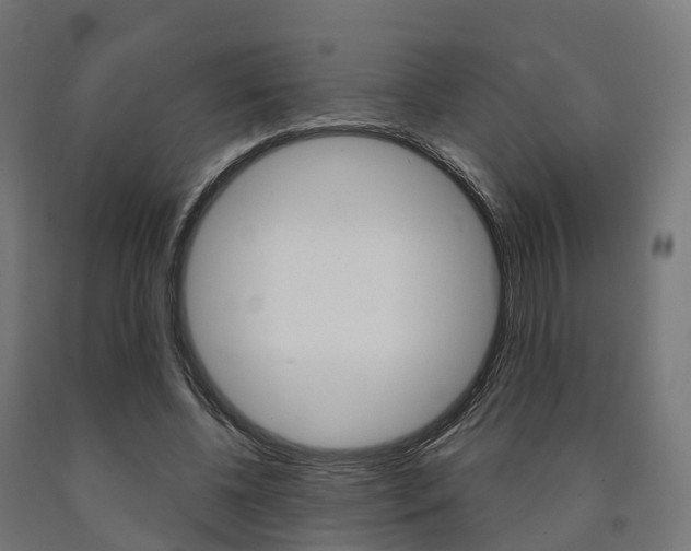 X0000091000540200708021227