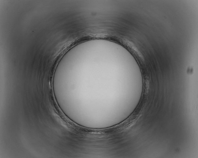 X0000091000541200708021227