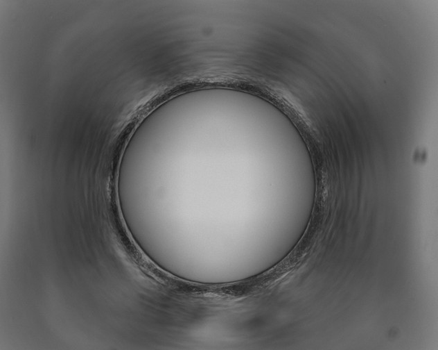 X0000091000542200708021227