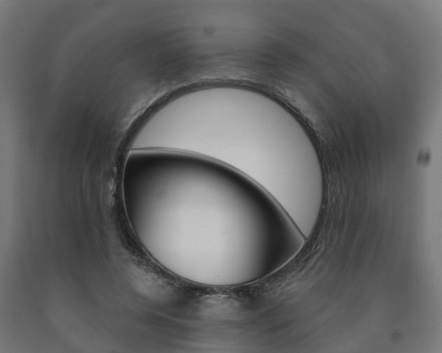 X0000091000544200708021227