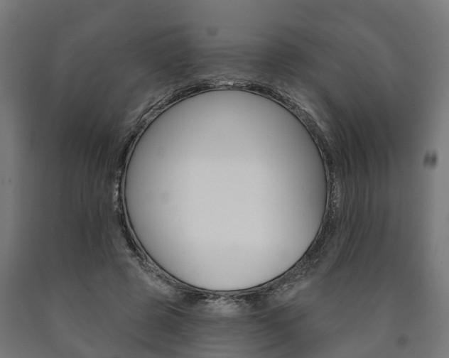 X0000091000545200708021227