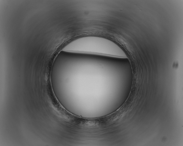 X0000091000546200708021227