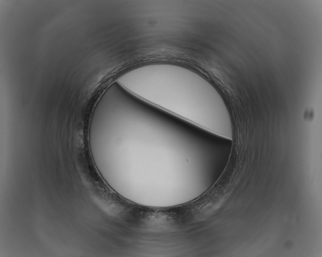 X0000091000547200708021227