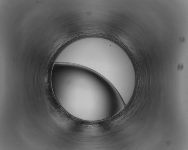 X0000091000548200708021227