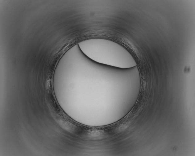 X0000091000549200708021227