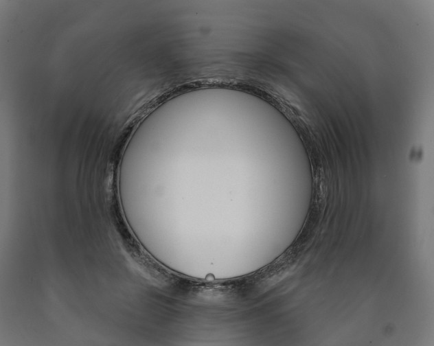 X0000091000550200708021227