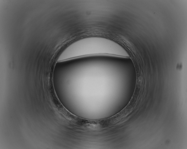 X0000091000552200708021227