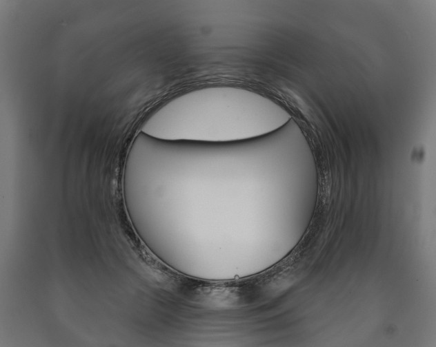 X0000091000553200708021227