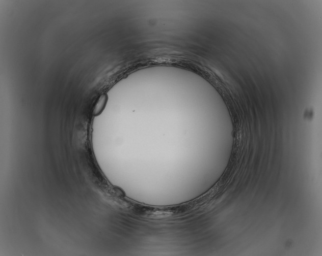 X0000091000554200708021227