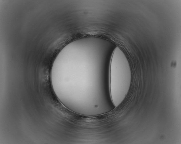 X0000091000555200708021227