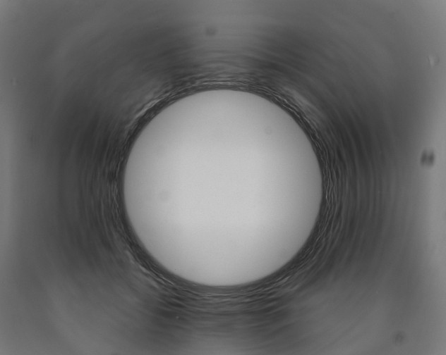 X0000091000556200708021227