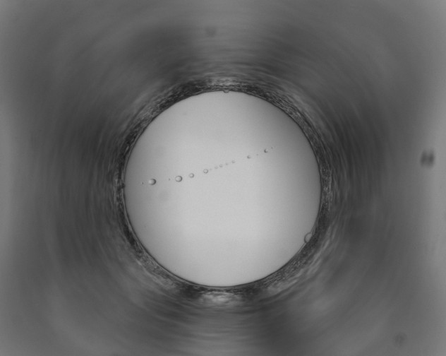 X0000091000557200708021227