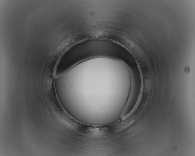 X0000091000558200708021227