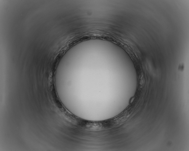 X0000091000559200708021227