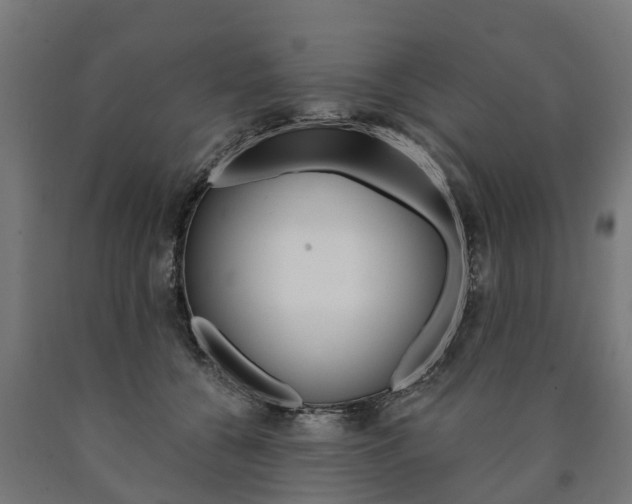 X0000091000560200708021227