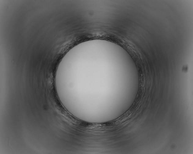 X0000091000563200708021227