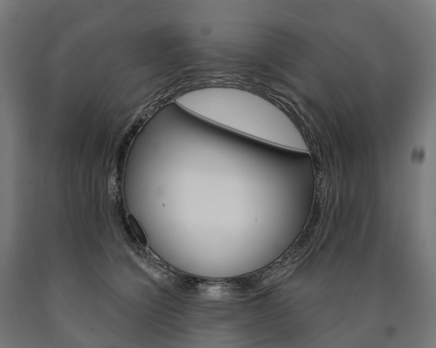 X0000091000564200708021227
