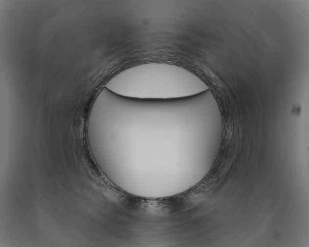 X0000091000565200708021227