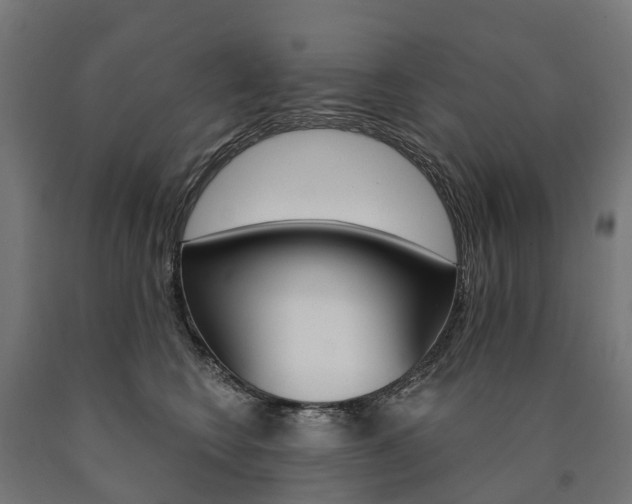 X0000091000566200708021227