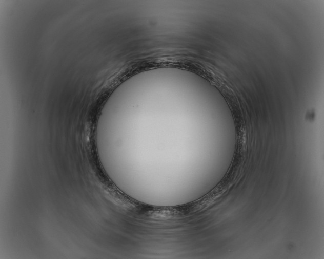 X0000091000567200708021227