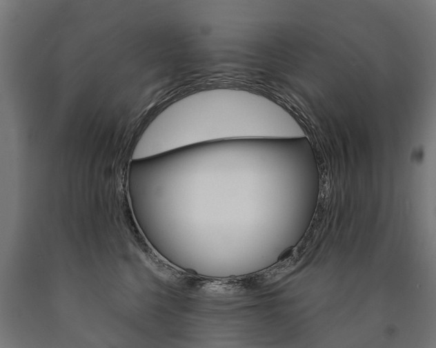 X0000091000568200708021227