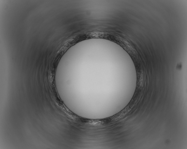 X0000091000569200708021227