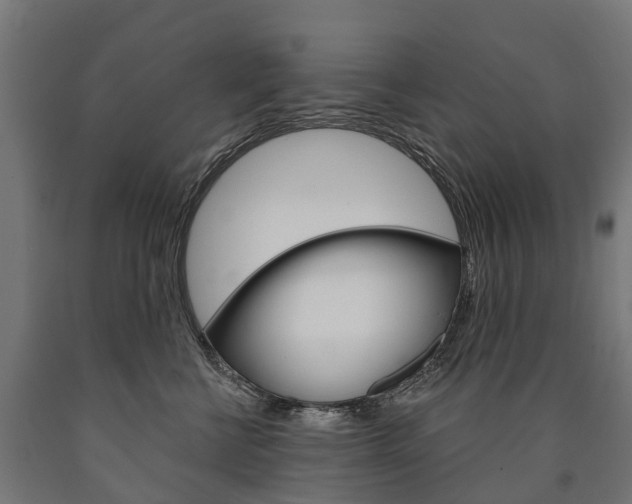X0000091000570200708021227