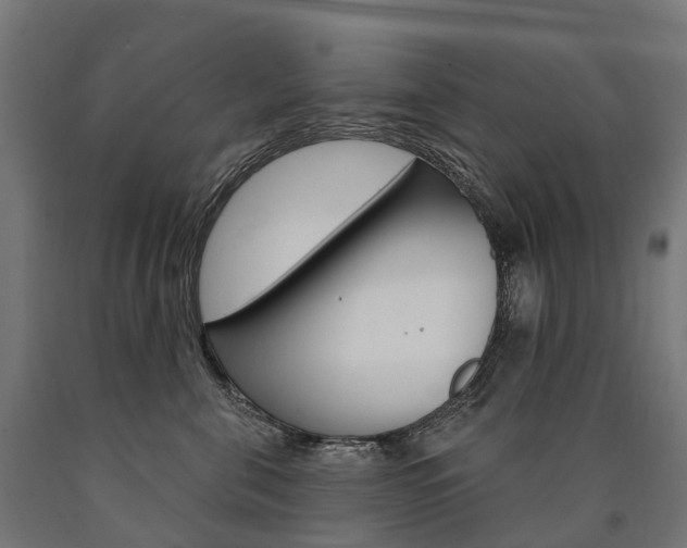 X0000091000571200708021227
