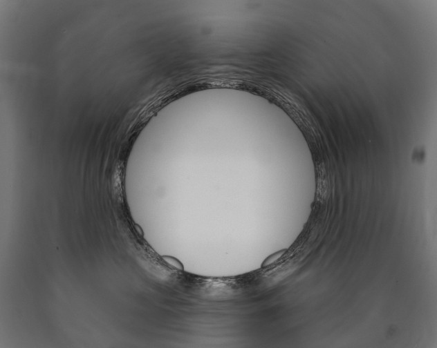 X0000091000573200708021227