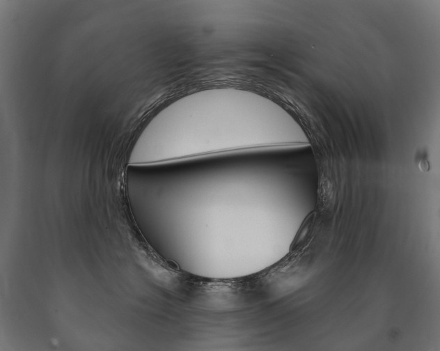 X0000091000574200708021227