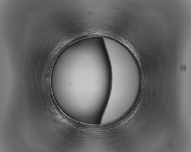 X0000091000577200708021227